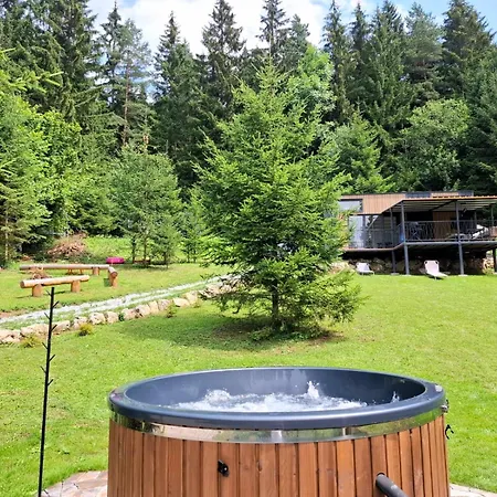 Noemi Pod Ziarom Chalet *