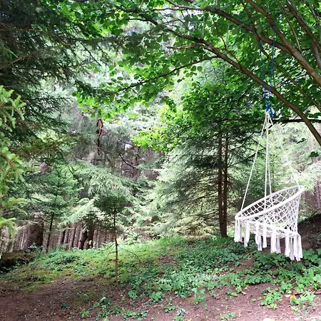Noemi Pod Ziarom Chalet